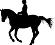 Dressurreiter Galopp Dressurreiter Galopp