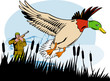 Hunter shooting duck