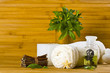 Spa still life