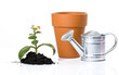 Planting fresh green to save environment