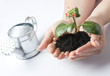Photo: a person holding a small plant a person holding a small plant