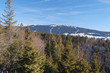 Le Noirmont (alt 1547 m), montagne des Rousses