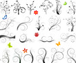 Floral vector design set