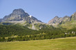 Alpine scenary