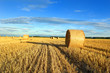 Champ de blé et bottes de paille