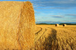 Champ de blé et bottes de paille