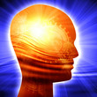 Human head silhouette with focus on the brain