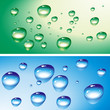 Vector: Waterdrops Waterdrops