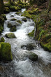 Photo: Quellwasser Quellwasser