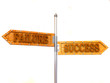 blank arrows directions. Failure and Success. 3d blank arrows directions. Failure and Success. 3d