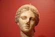 head of a woman head of a woman
