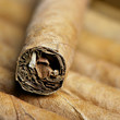 Cigars