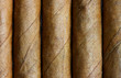 Cigars in a row close-up, may be used as background Cigars in a row close-up, may be used as background