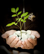 Sustainable development