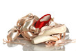 Close-up  of pointe