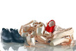Close-up of  pointe