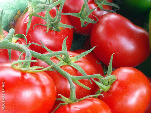 Photo: tomates gros plan tomates gros plan