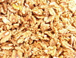 Walnut - Noix