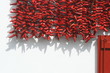 piment d'espelette,hot pepper,basque piment d'espelette,hot pepper,basque
