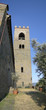 Buggiano
