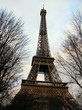Eiffel Tower Through Trees