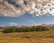 Fall Colors