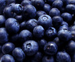 bulk blueberries closeup bulk blueberries closeup