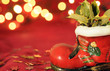 Natale