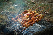 Shish kebab which is making on nature Shish kebab which is making on nature