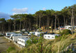 camping