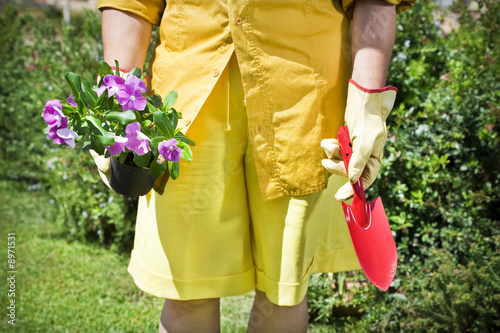 Photo: Cropped view of senior woman holding flower pot in garden Cropped view of senior woman holding flower pot in garden