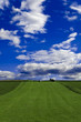 Feld Feld