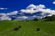 Feld mit Strohballen Feld mit Strohballen