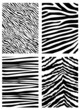 zebra pattern vector
