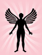 Angel with wings