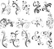 Floral silhouette