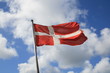 Norwegian Flag
