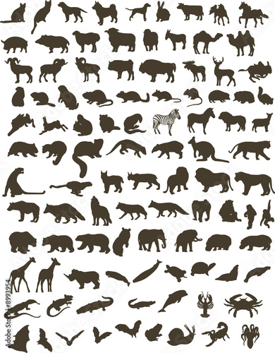 silhouettes of animals. silhouettes of animals