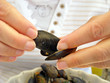 manger avec ses doigts moules frites 1