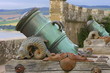 canons (culzean castle) canons (culzean castle)