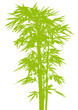 vectorial bambou vectorial bambou