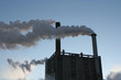 Photo: Paper mill factory fumes Paper mill factory fumes