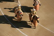 Caballos en las ventas
