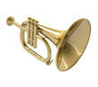 Illustration: Trumpet Trumpet
