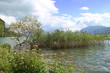 Lac d'Annecy