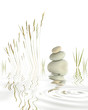 Zen Pebbles Grasses and Bamboo