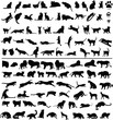 Illustration: 100 silhouettes of big and small cats 100 silhouettes of big and small cats