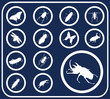 Set buttons. Insects