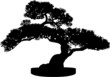 Bonsai Tree Silhouette
