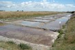 marais salant 2